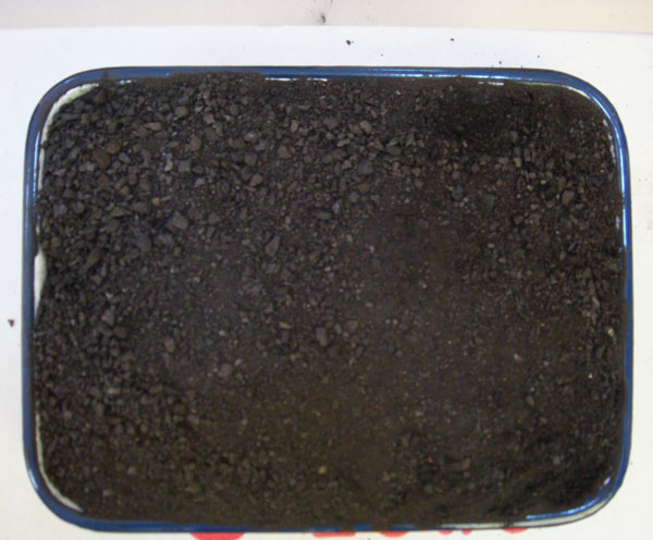 ������ʱ - �������ǲ�!