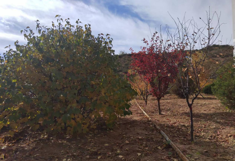 1698279439535845.png 640 (2).png