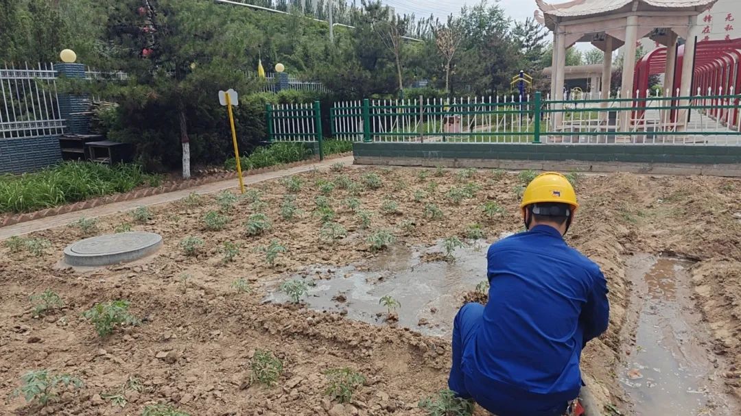 1717462158248508.jpg 640 (7).jpg