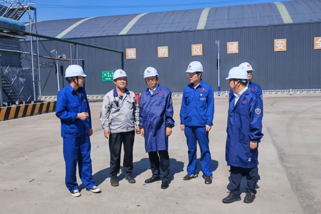 1725237327462462.jpg 640 (10).jpg