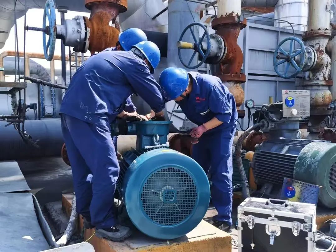 1734999116120656.jpg 640 (6).jpg