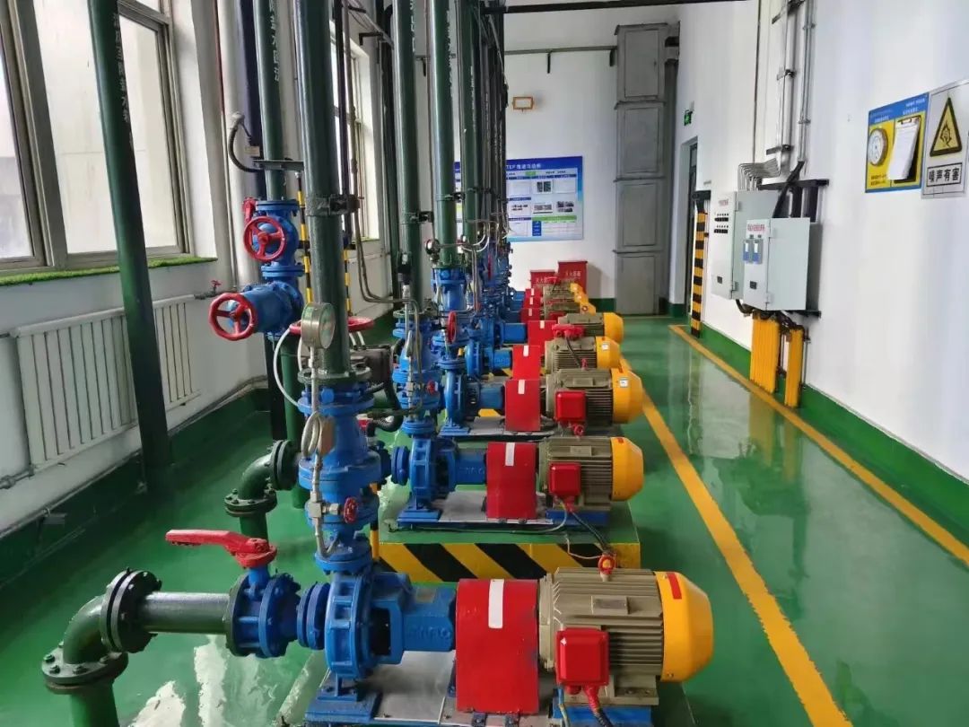 1735778158834386.jpg 640 (6).jpg